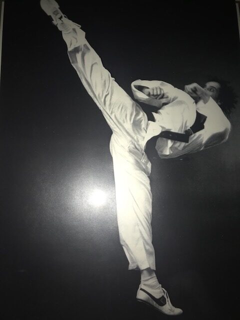 Professioneles TAEKWONDO Training in Wien